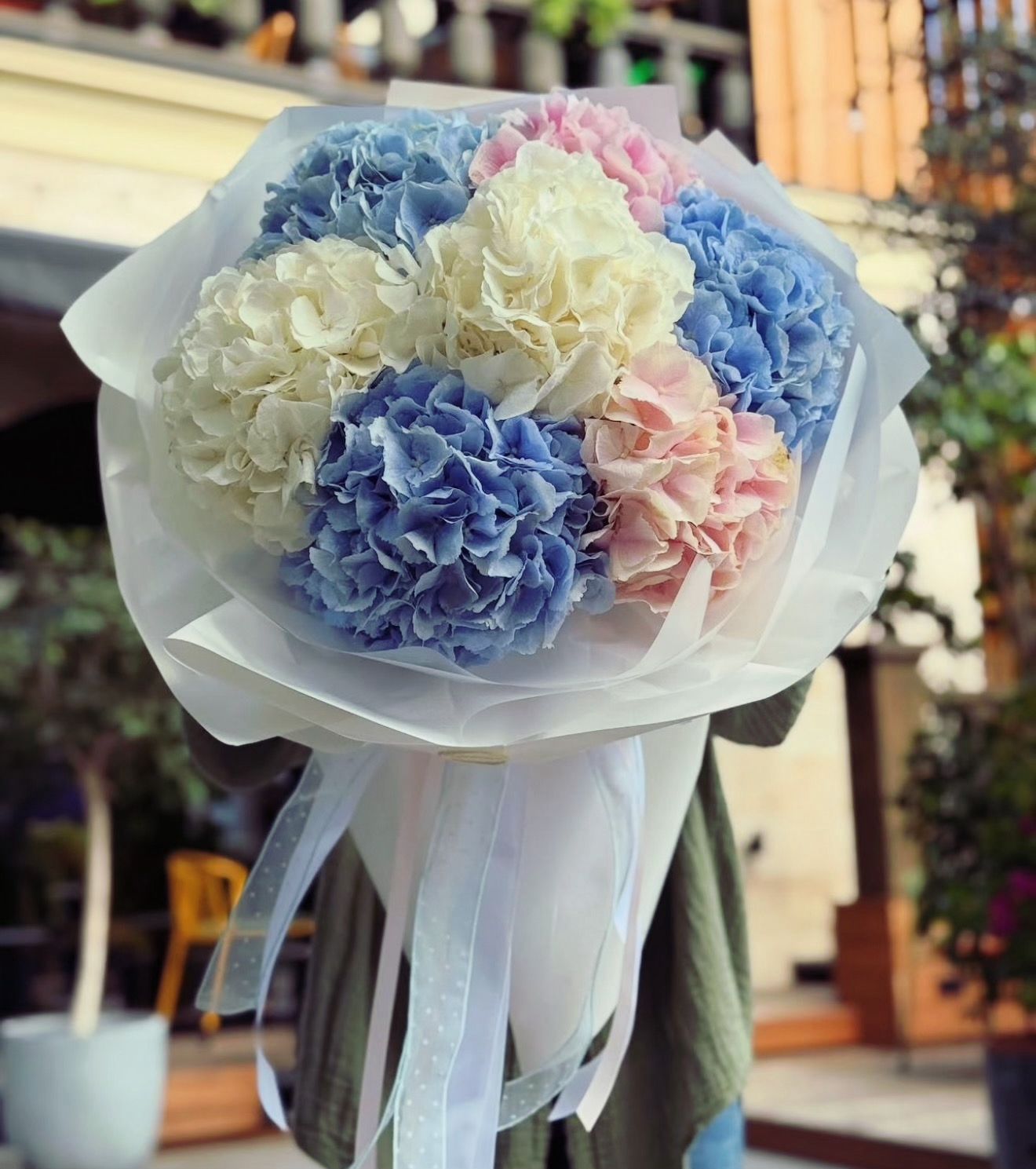 Pastel Hydrangea Dream