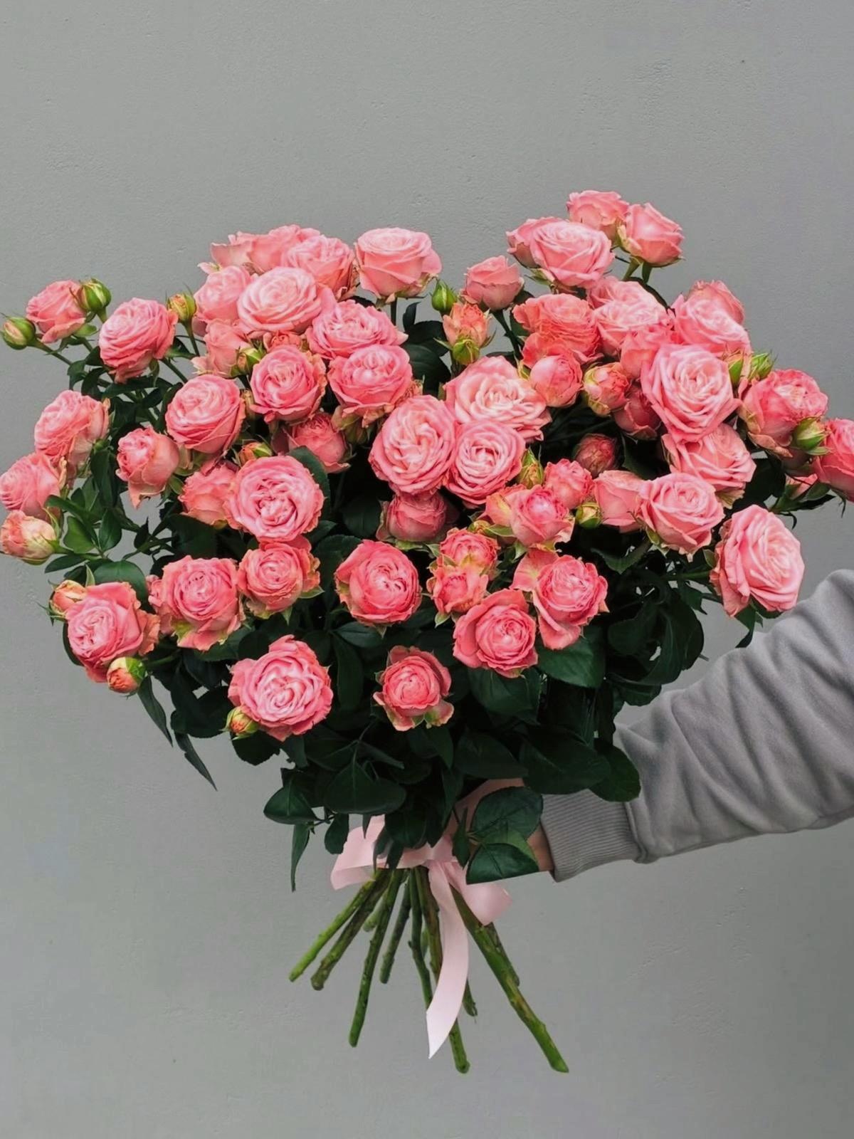 Coral Romance