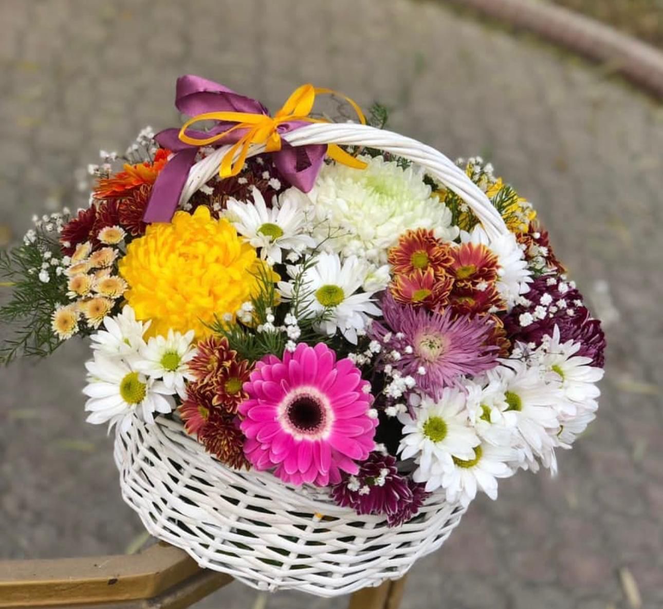 Garden Melody