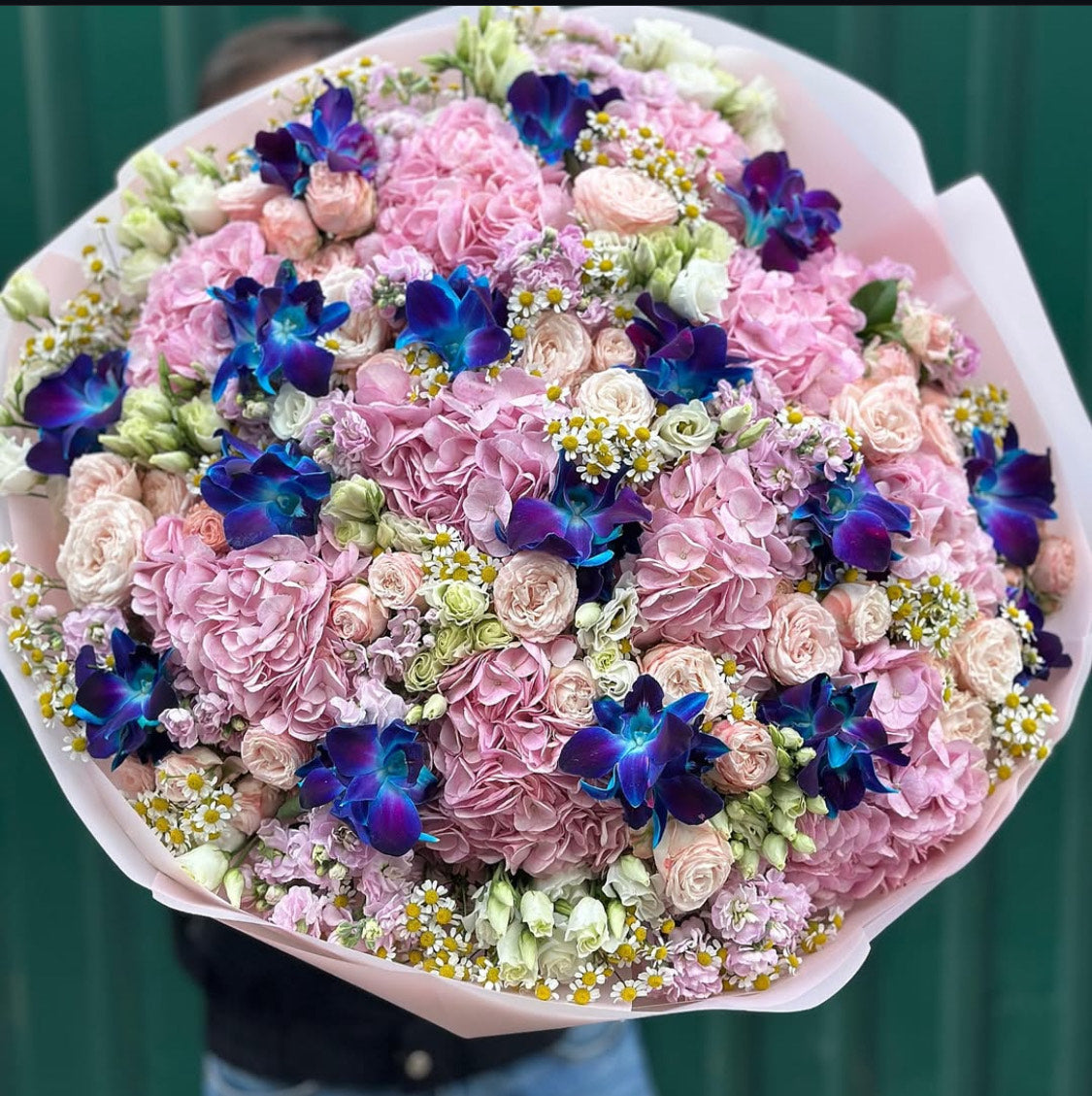 Enchanted Blossoms