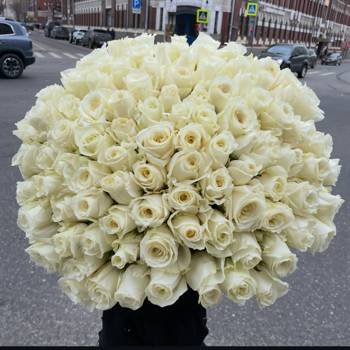Ivory Dream