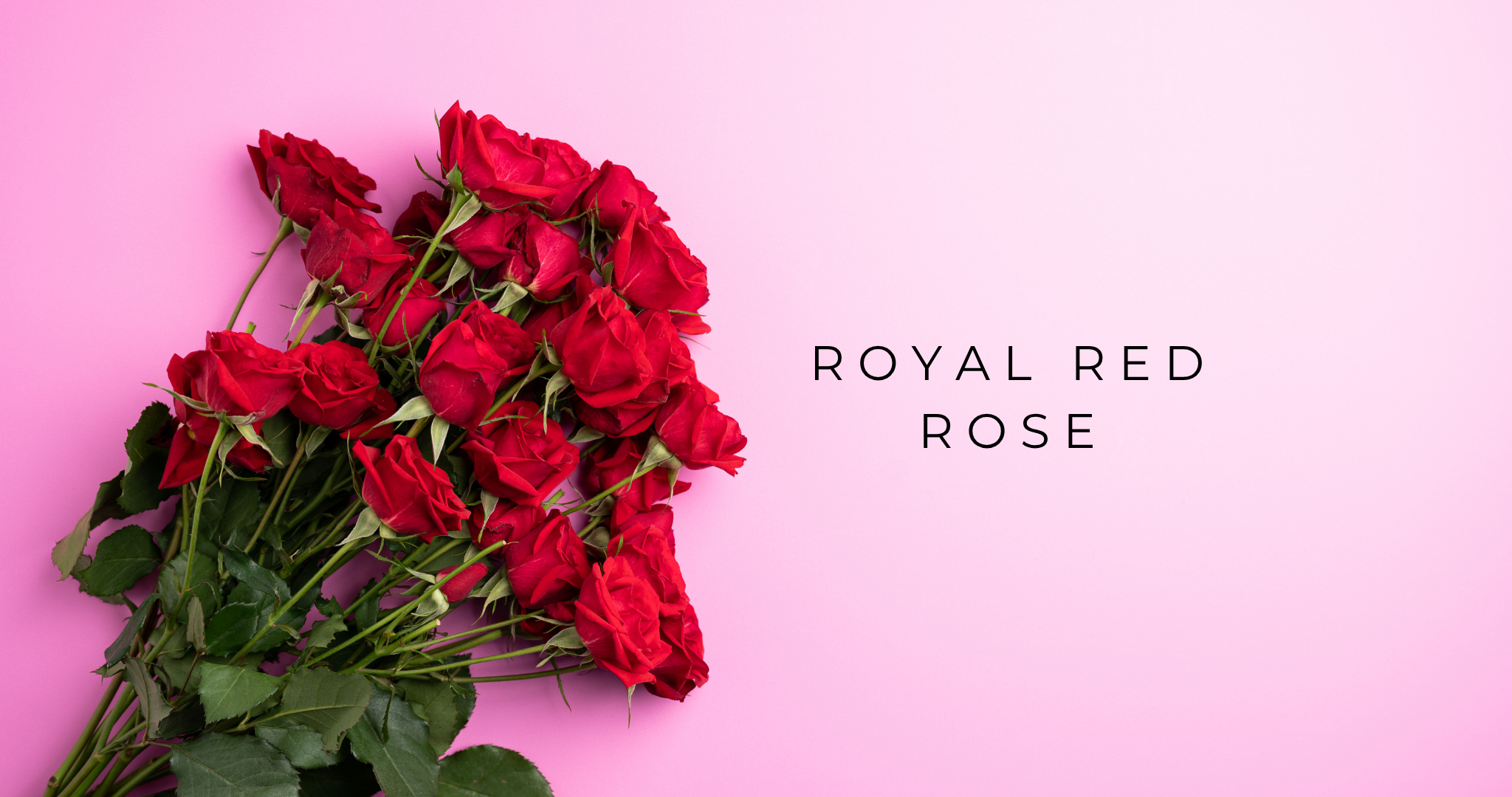 Pink_and_Red_Roses_Valentine_s_Day_Facebook_Post_2.png