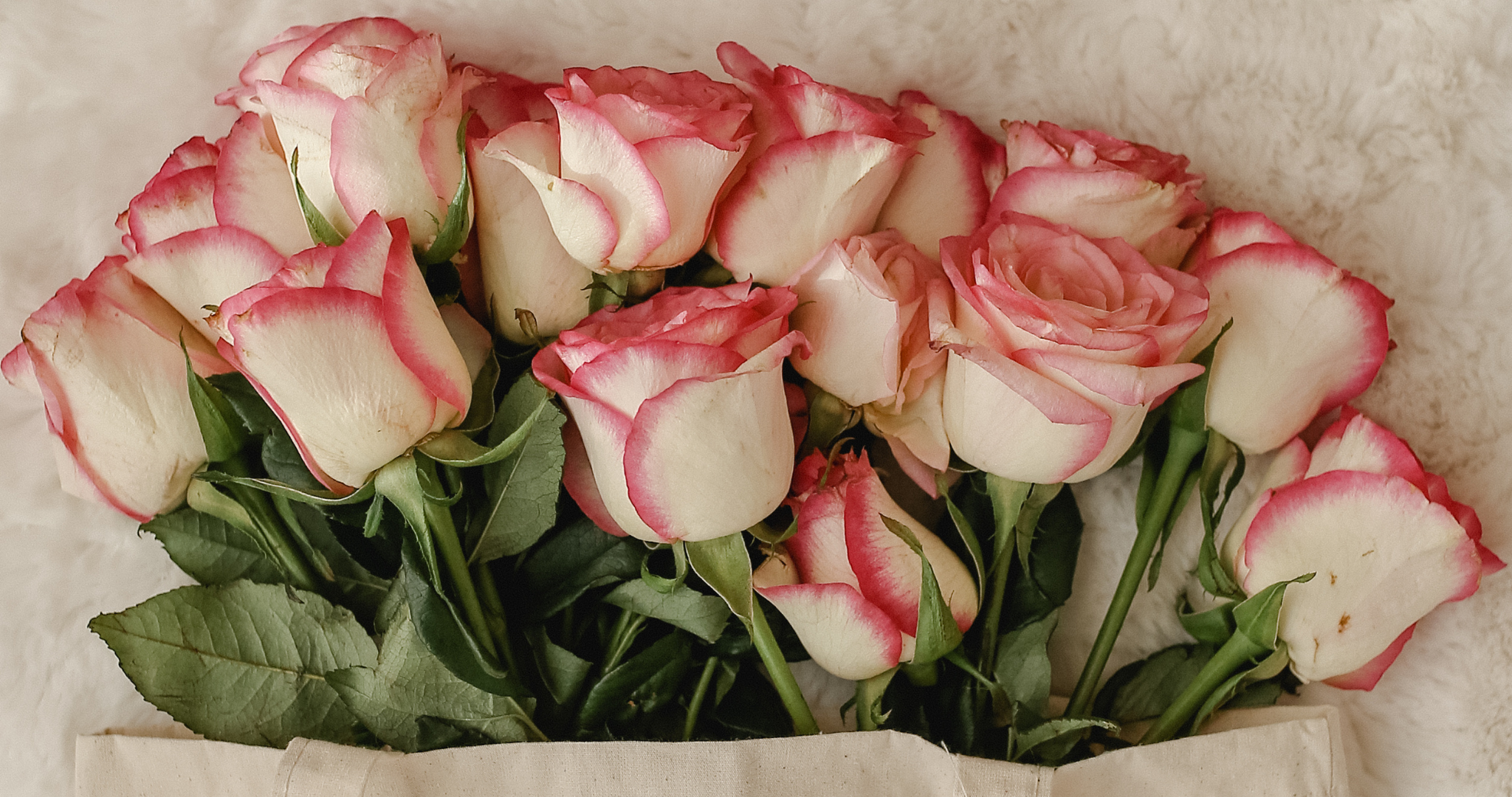 Self-care_Roses_Reminder_Instagram_Post.png