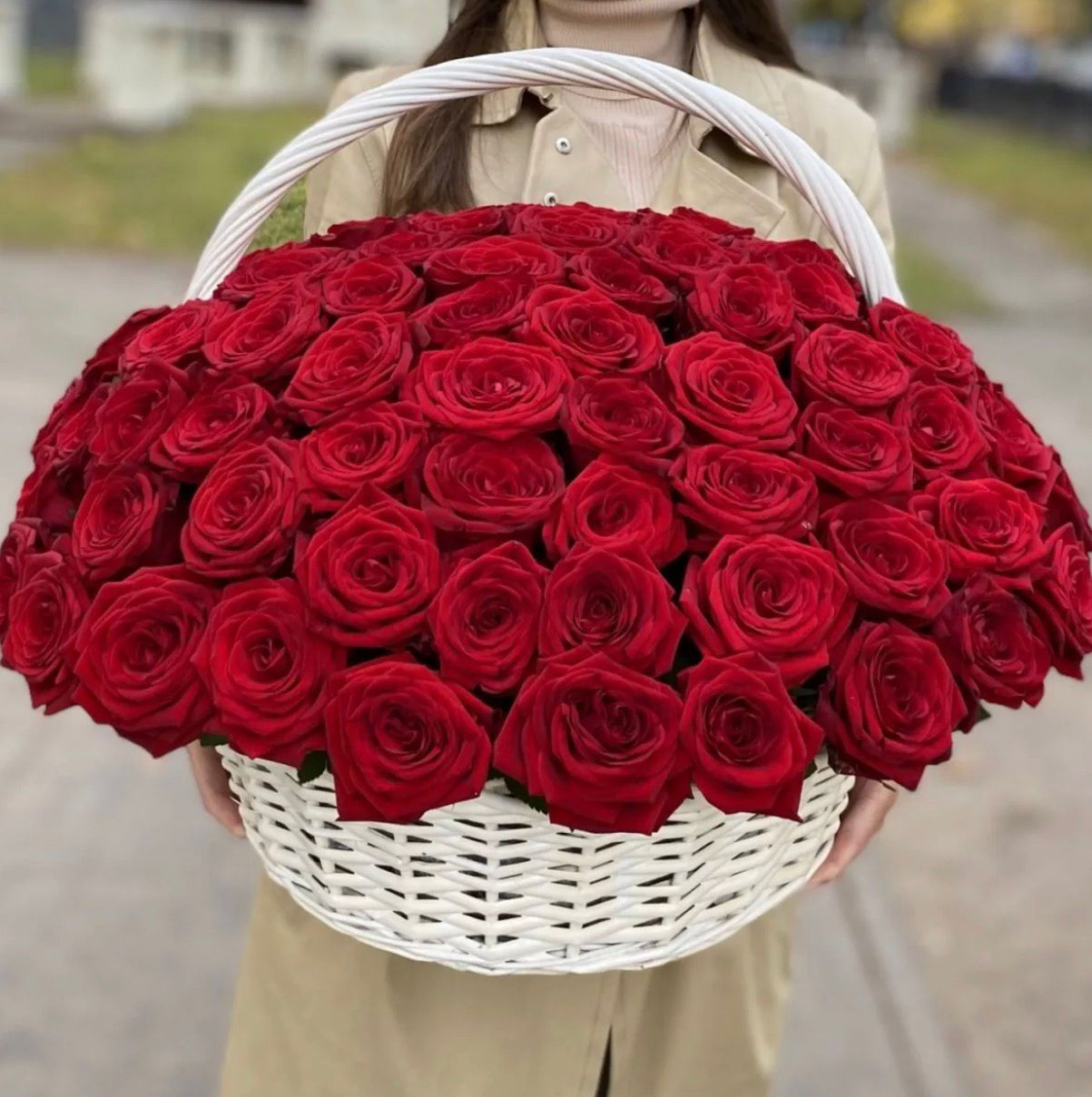 101 Fresh Velvet Roses