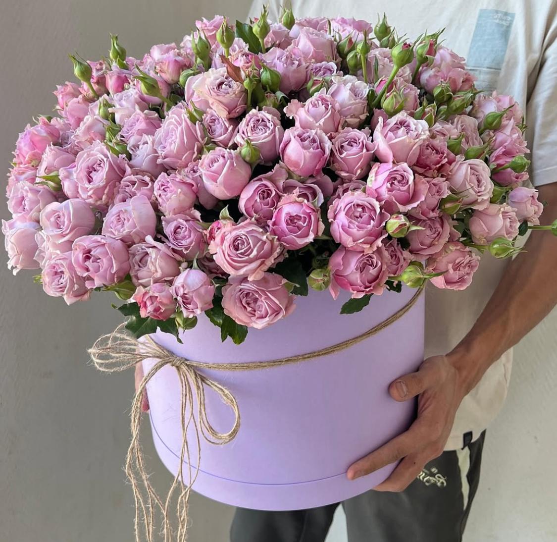 Lavender Bliss