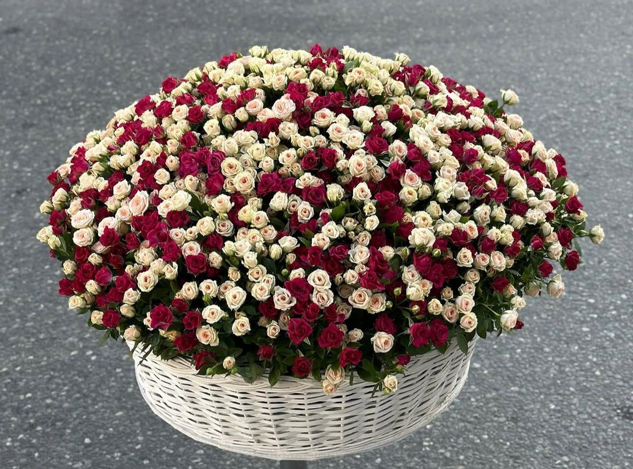 Royal Bloom Symphony