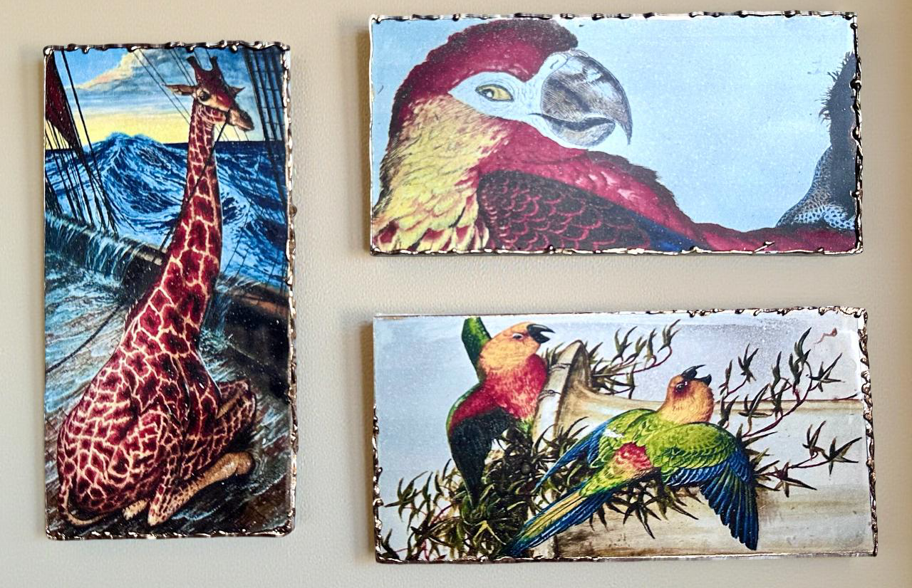 Chocolate bar with picture