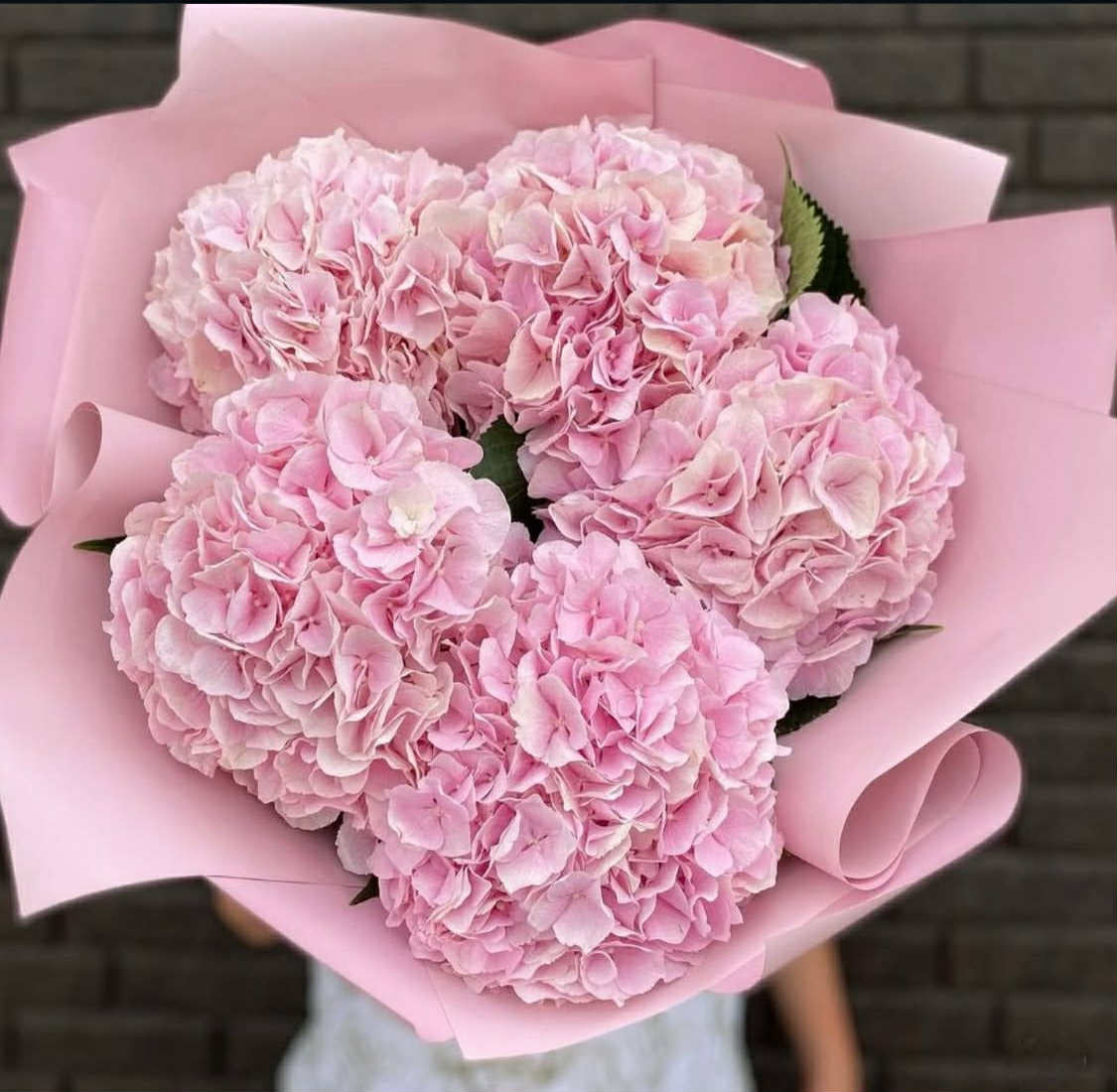 Pink Hydrangea Charm