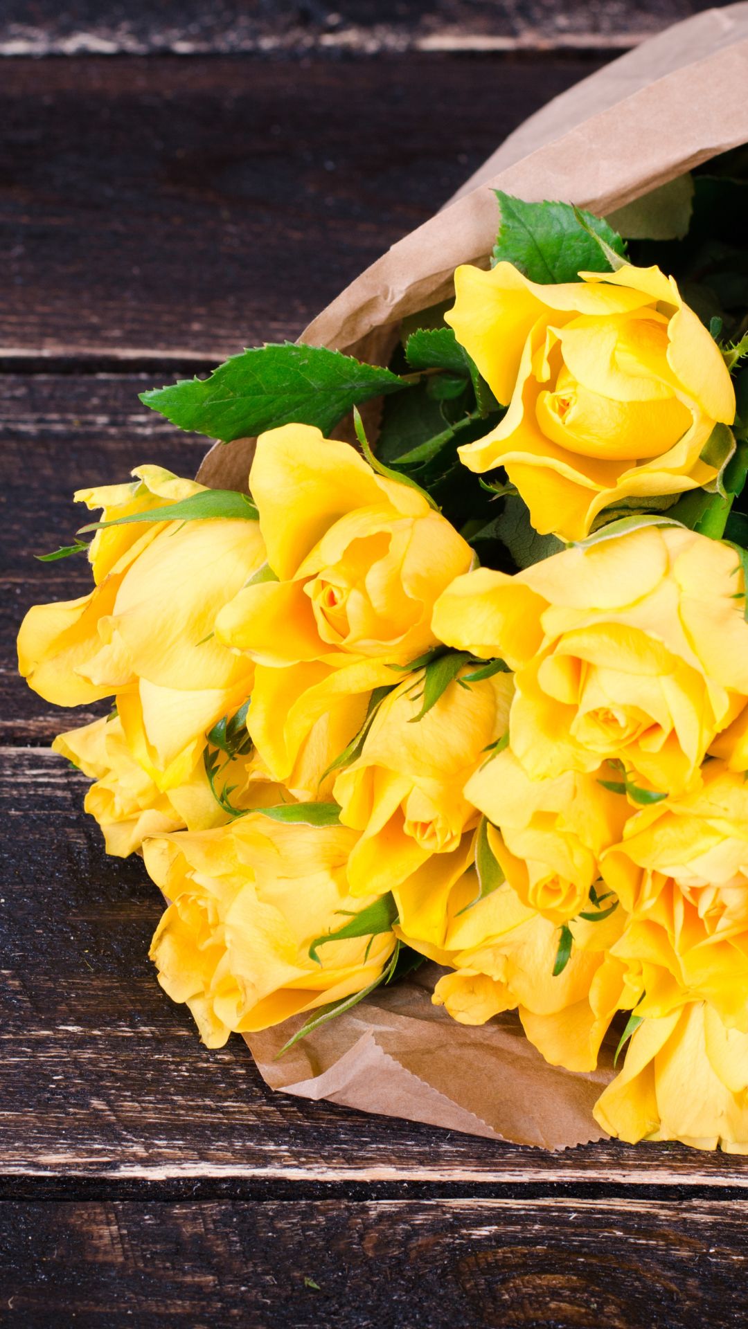 rose_05.jpg