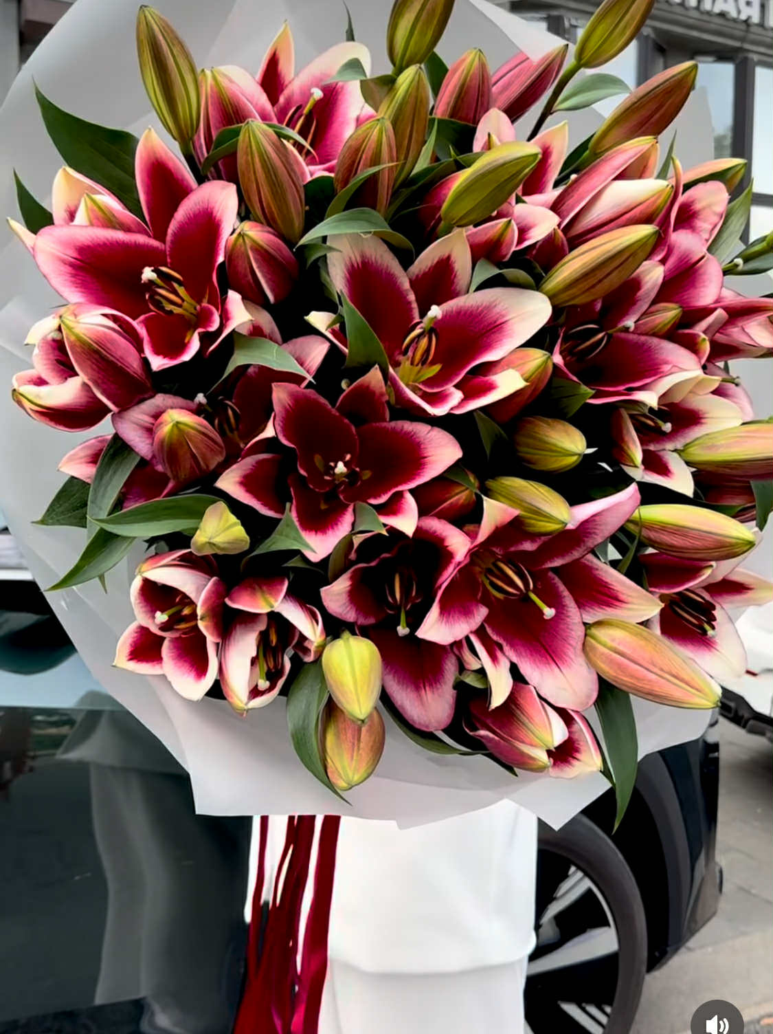 Royal Burgundy Lily Elegance